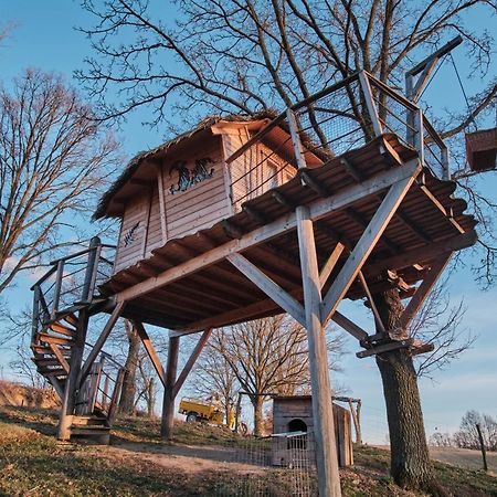 Вилла Treehouse Kremilek Jesenice  Экстерьер фото